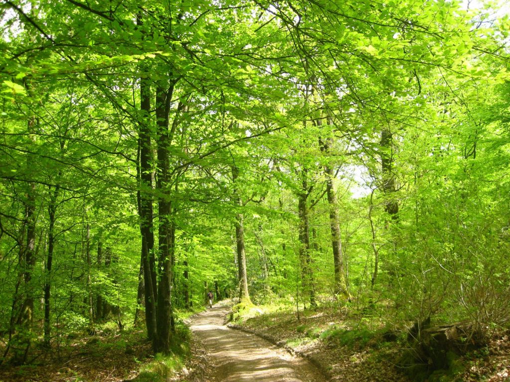 Ri-pail de la Corniche